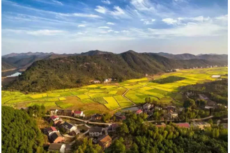 美天垃圾桶美化杉橋鎮(zhèn)