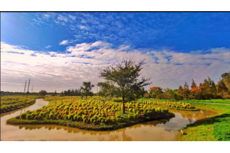 花開海上公園訂購木質(zhì)垃圾桶